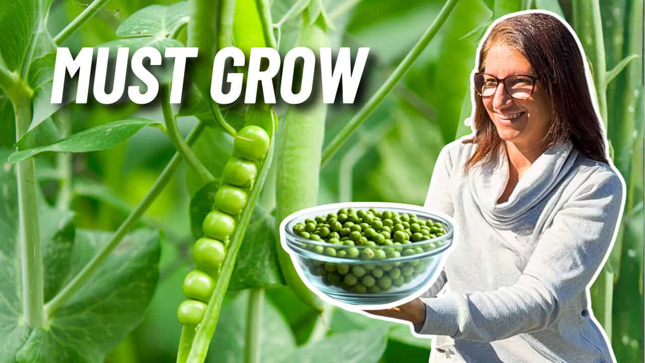 Woman holding a bowl of shelled peas with a pea plant behind her and the words "Must Grow"