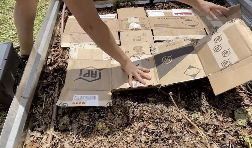 cover seed for growing perfect carrots