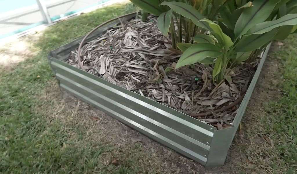 Raised Garden Beds