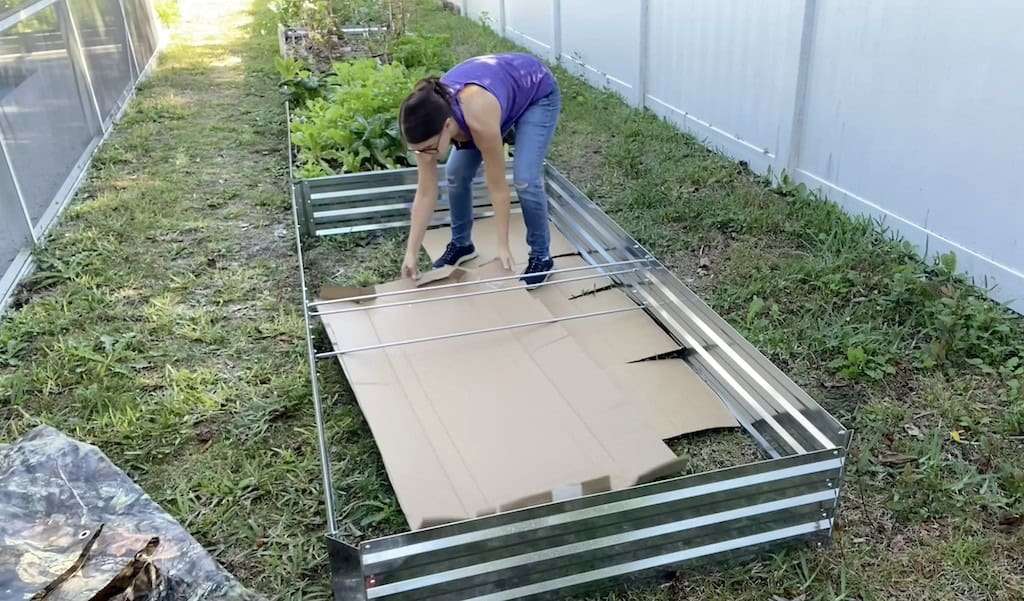 Filling a raised bed