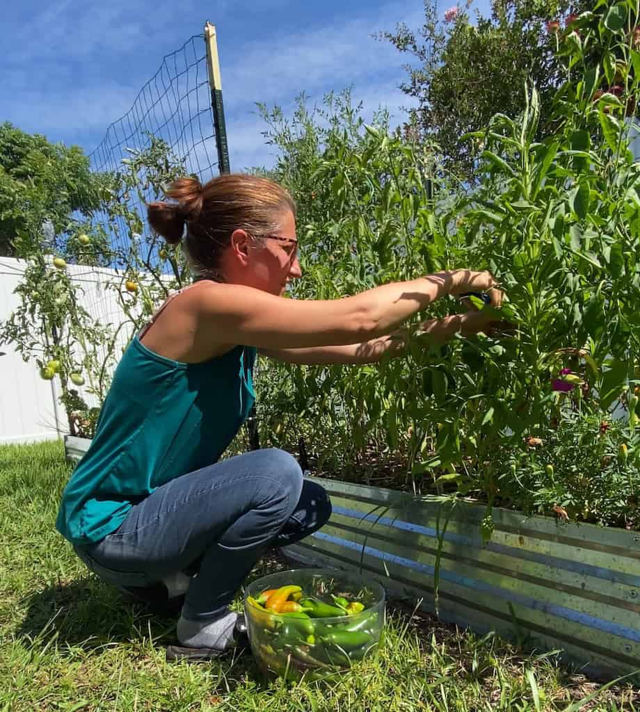 gardening in extreme heat