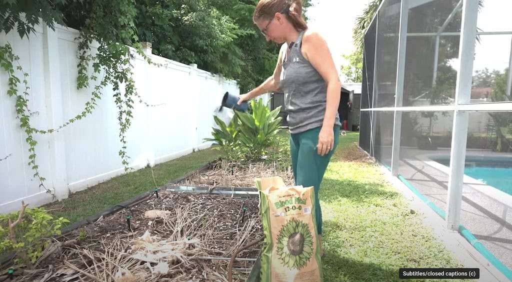 Amending Garden with Blood Meal