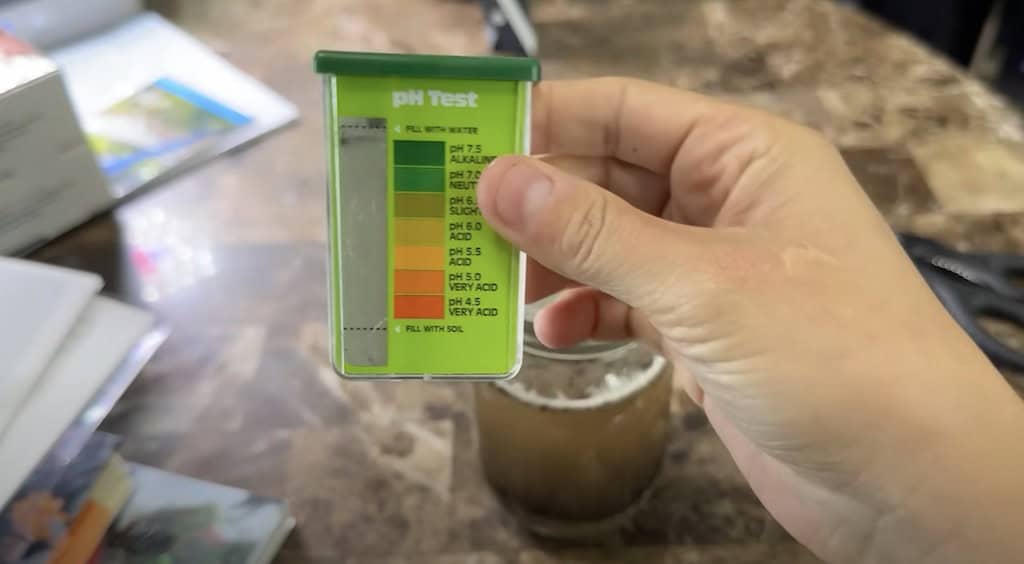 At Home Soil Testing