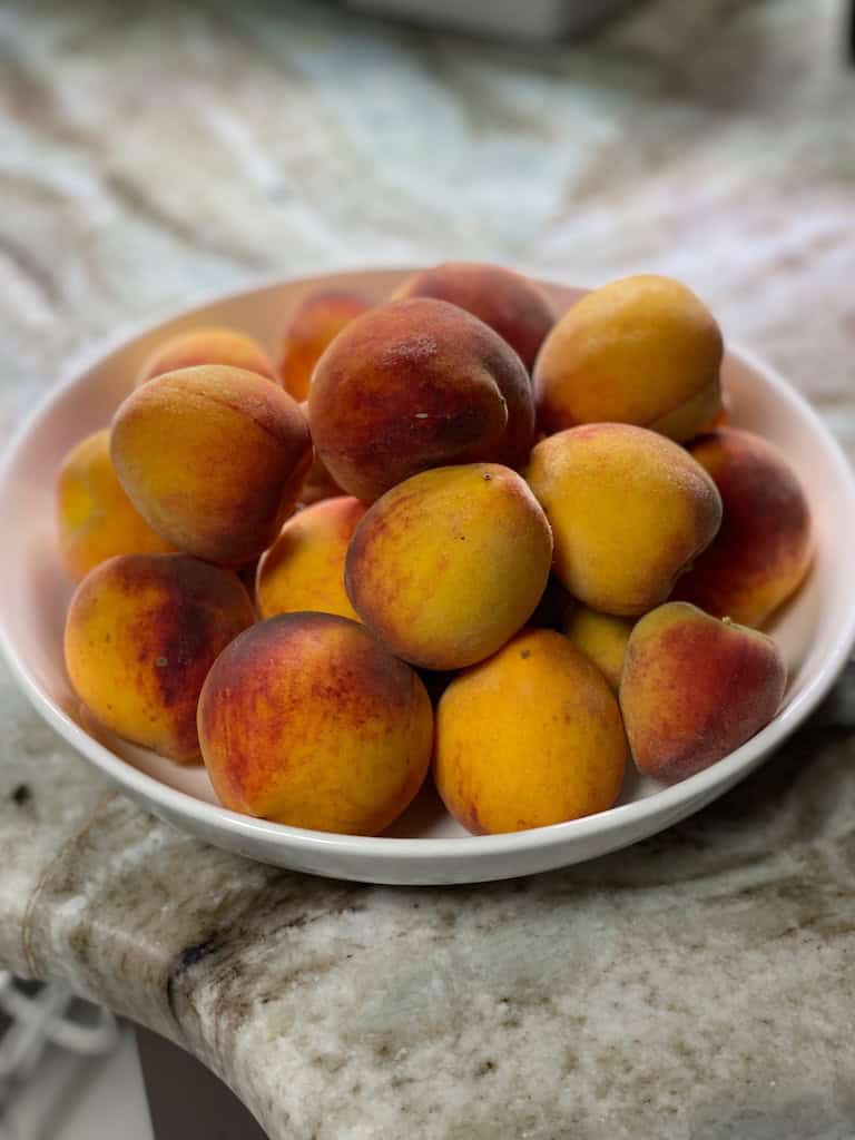 Growing Peaches in Florida: What I’ve Learned After 7 Years