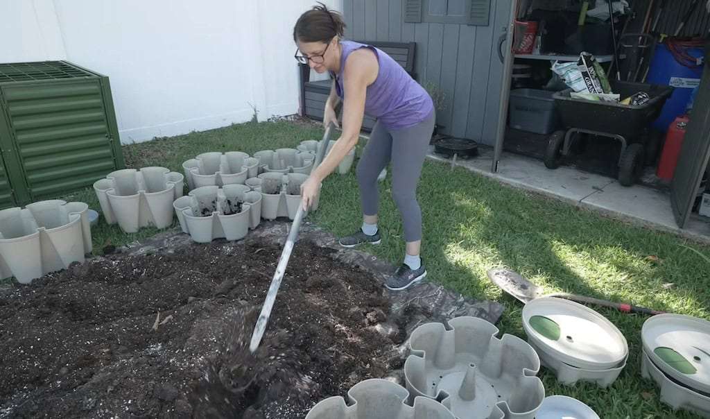 Preparing soil for strawberry plants