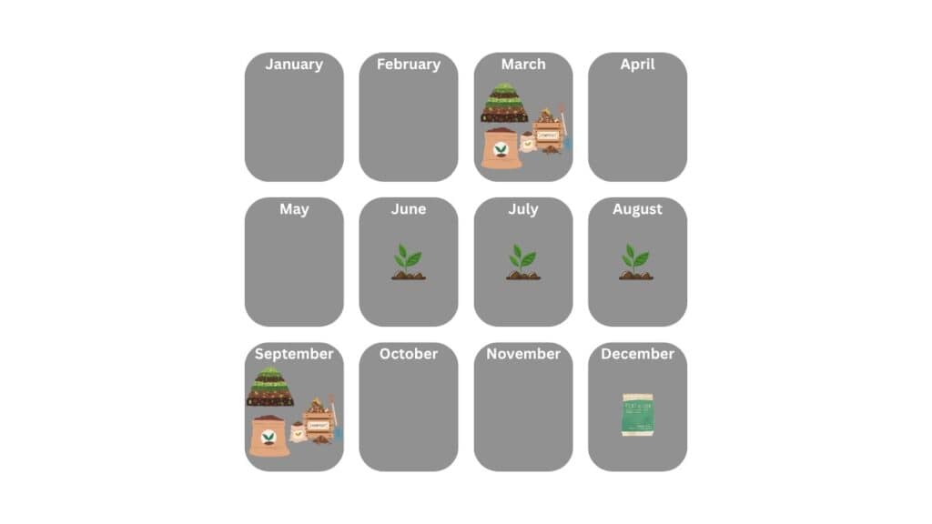 Year 3 Soil Fertility