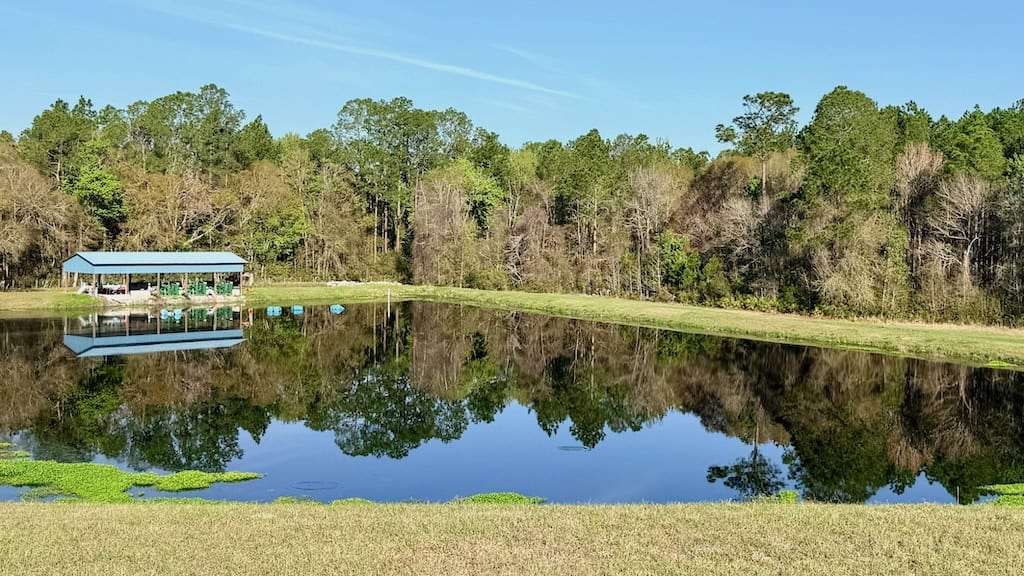 Recovery pond on Florida blueberry farm
