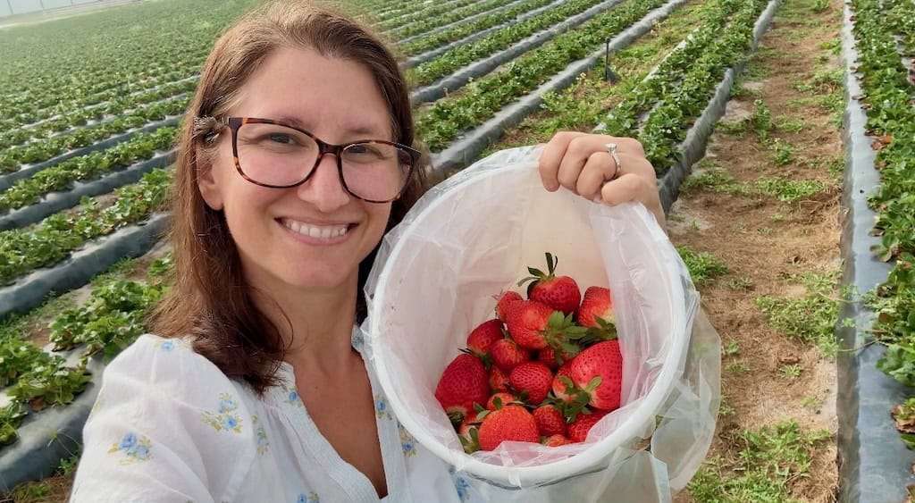 Woman holding bucket full of recently harvested strawberries from Florida Farm
