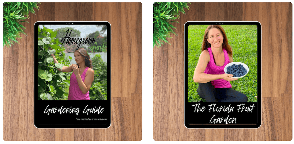 Woman picking blueberries in a Florida garden, promoting local gardening tips.