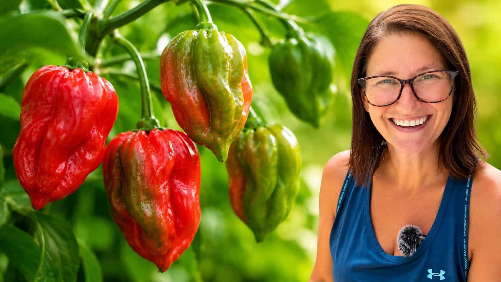 Why Your Peppers Are Struggling in Florida Summer: 5 Common Pepper Problems and How to Fix Them