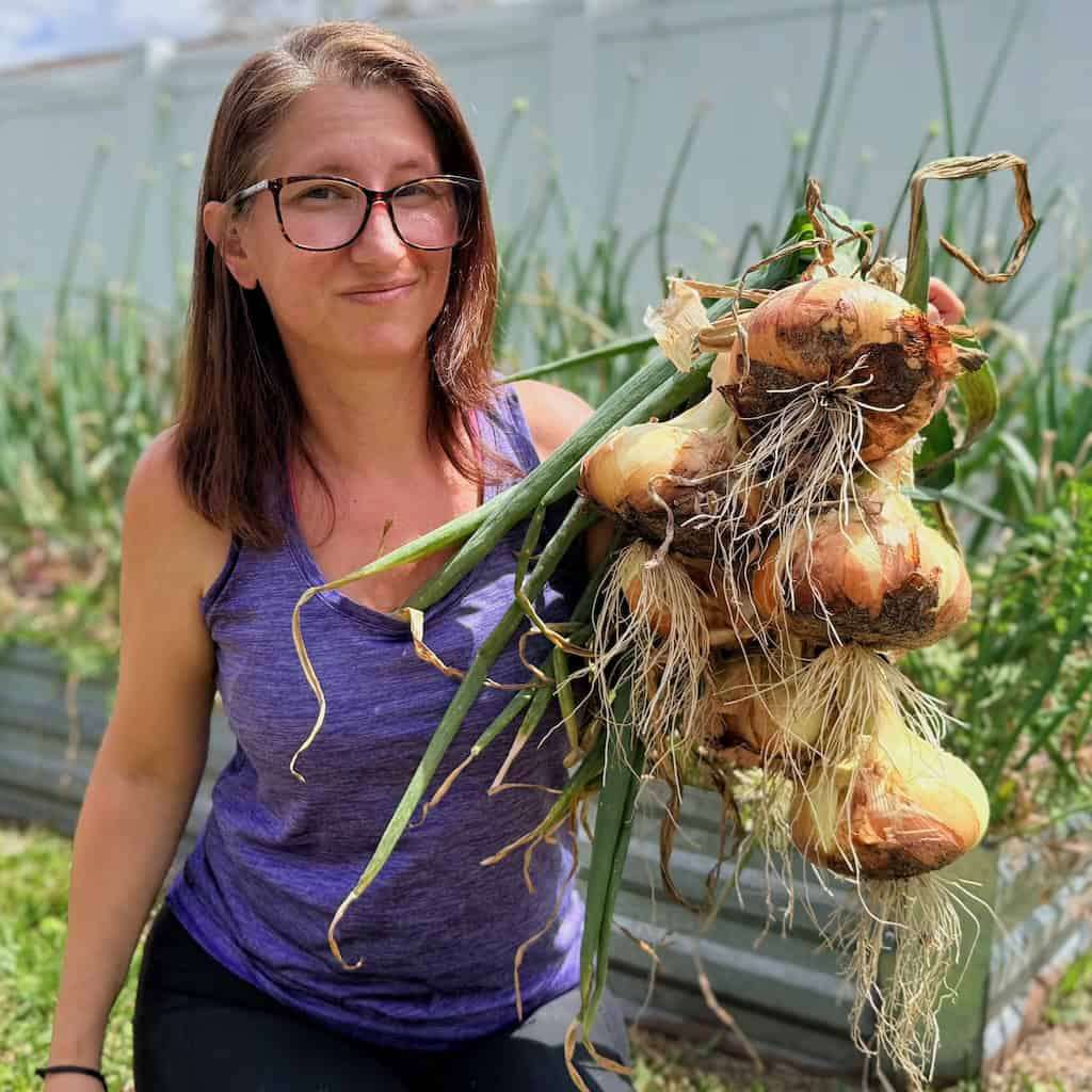 Woman holding a bunch of recently harvested yellow onions