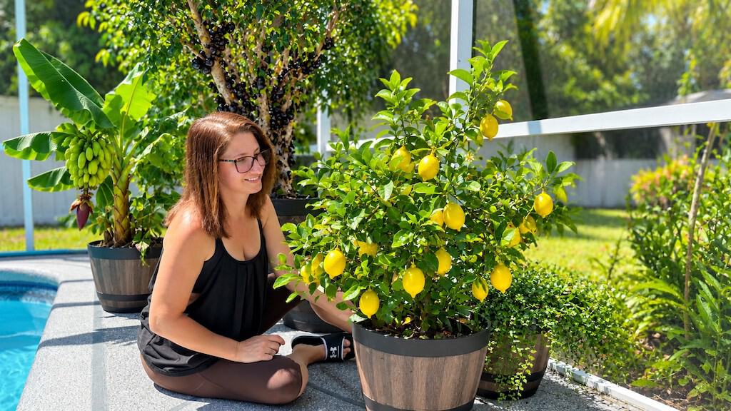 11 Container Fruit You Can Grow in Small Spaces