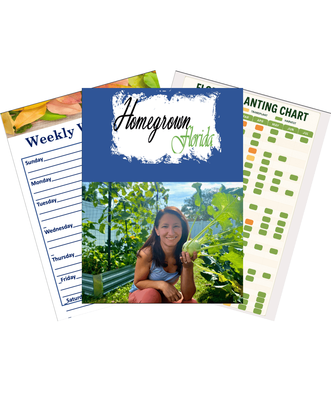 Sample pages from garden planner workbook